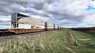 CN intermodal north on the Three Hills sub near Delacour, AB