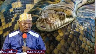 UKIOTA UNAMKUNJA NYOKA TAFSIRI YAKE NI HII// SHEIKH ABUU JADAWI