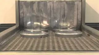 Tristar Tunnel Wash Conveyor - Degreasing Machine
