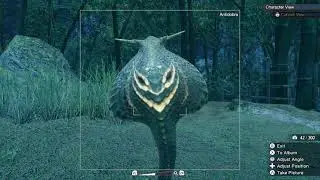Monster Hunter Rise- How to take a picture of Antidobra
