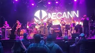 Dudemanbro Nova Farms afterparty 10th anniversary Necann Cup Royale Nightclub Boston, MA 3/22/2024