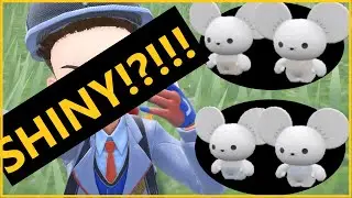 How to get your own Shiny Tandemaus!