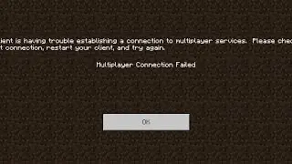 Minecraft Server Connection Fix (2025)