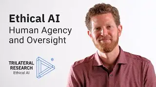 Ethical AI Pillars: Human Agency and Oversight