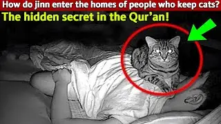 How Jinn Enter Your House If You Keep Cats | Every Muslim Must Know This!