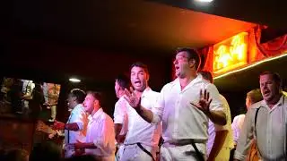 Presentación 