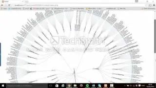 D3TraceView - ASE2016