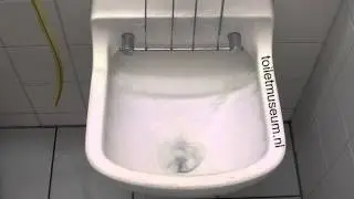 Chemical toilet waste disposal