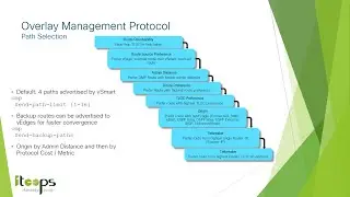 Cisco SD-WAN - OMP (Overlay Management Protocol) (Spanish)