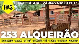DE 100 POR R$ 90 MIL O ALQ - FAZENDA NA PURA CULTURA EM GOIÁS - TERRA DE BACURÍ,  GUEROBA E MACAÚBA