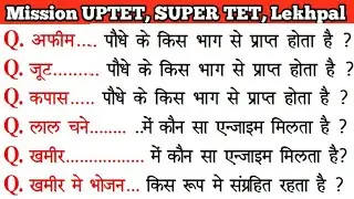 UPTET 2021 || Junior Super TET Important Questions || Super TET || UP LEKHPAL || SSC || RRB || UPPET