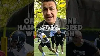 Должен ли тренер линии нападения &laquo;Стилерз&raquo; Пэт Мейер нести ответственность за проблемы в линии на...