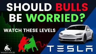 Tesla Stock Price Analysis | Top $TSLA Levels To Watch for February 19th, 2026
