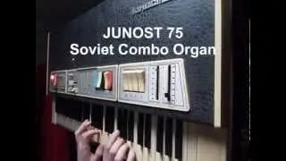 Junost 75 Vintage Soviet Combo Organ