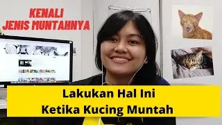 LAKUKAN HAL INI BILA KUCING MUNTAH | MY CATS DIARY