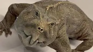 Galago bush baby mahi mahi genet sheep cave peregrine pigeon owl hawk dinosaurs ducks wolf 15518
