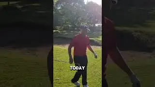 These are RARE ones 🐦👏 #golf #golfswing #golfingworld