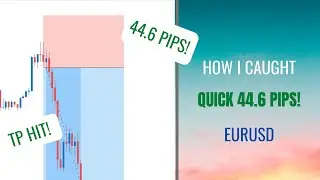 #forexconqueror #forex #forexpips How I Caught 44.6 pips on EURUSD Quick and Easy! INTRADAY!