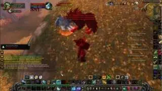 Wow pet Mop Wolf 90 lvl