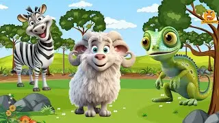 Wild Animal Sounds: Zebra, Sheep, Chameleon, Gorilla, Okapi, Ox - Animal Videos