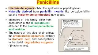 ABT1 | Penicillins | Pharmacology