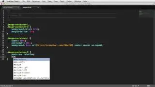 CSS Tutorial for Tips & Tricks - 11 Absolutely Center an Image