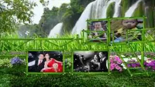 Minh Hon   Mai Le