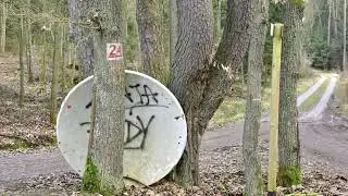 Z notatnika leśnika - pogodna, wiosenna niedziela.