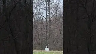 100 yard air rifle crazy power  aea challenger. 510 cal