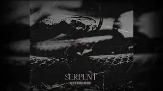 Free Dancehall Instrumentals - Serpent Riddim