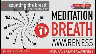 Breath Awareness - Part 1 | Meditation | Pranayama  | Counting your Breath | BSY | YCB