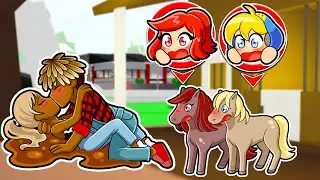 SPIAMO LE COPPIE DA PONY SU BROOKHAVEN ROBLOX!!