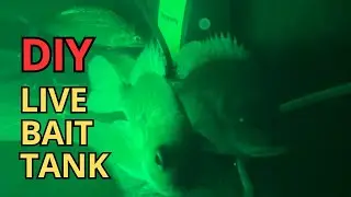Cheap DIY LIVE BAIT TANK with Bucket Filter