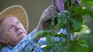 Bill Conn - We're Better Than That