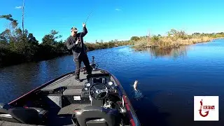 New River Bass Fishing - Fall Feed - Drop Shot - Day 1