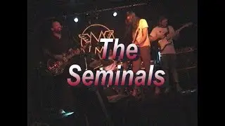 The Seminals Live at Matchless