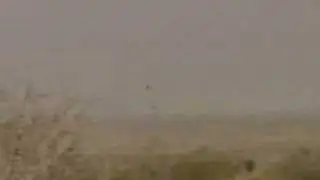 المقناص للشاعر شبيب بن عرار النعيمي