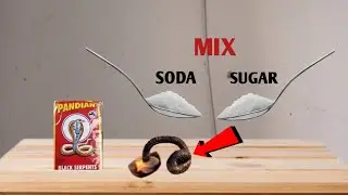 Diwali snake cracker l How to make black snake at home video 