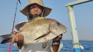 Fishing Game | Good Trolling fishing | Mubarak village to Hayat |