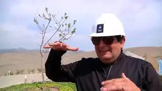 Nueva Lima - Reportaje a Claudio Zolla - #LotesenPer&uacute;