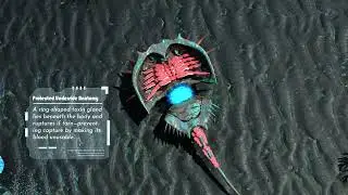 Where the ocean remembers&mdash;3D animation video