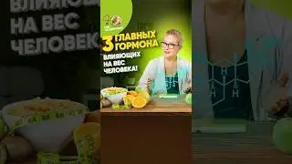Как гормоны влияют на вес человека?⚡️ #ешьназдоровье #евроопт #врач