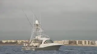 Fish Bluewater's Lines in for Operation Sailfish day 1