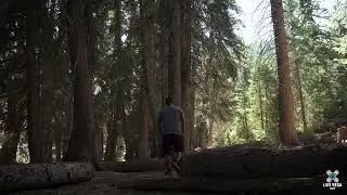 A Walk in the Big Cottonwood Canyon, Utah. (Sony FX30)