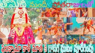 తొమిది మందీ పోతరాజుల తో FALAKNAMA కి గానగ ఘటం వూరేగింపు