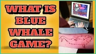 What is blue whale game? Explained fully