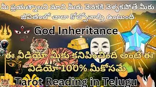 మీ ప్రయత్నాలని మాని మీరు వెనకకి వెళ్ళకపోతే మీరు జీవితంలో చాలా కోల్పోవాల్సి ఉంటుంది