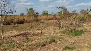 Vende-se chácara no Distrito de Santa Rosa, Município de Formosa-Go.