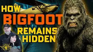 HELLBENT LIVE 151: How Bigfoot Remains Hidden - Evasion Strategies of Sasquatch