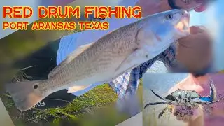 Red Drum Fishing Texas | Port Aransas Back Bay Area | Fishing with JangoMike & the Fam